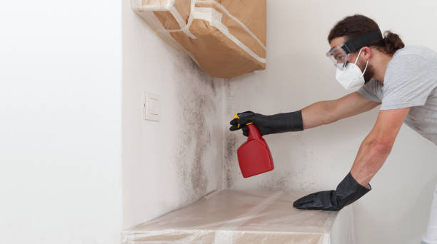 Professional Mold Removal technician working in Durham, NC