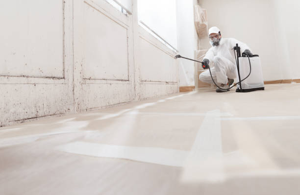 24/7 Emergency Mold Removal experts in Durham, NC