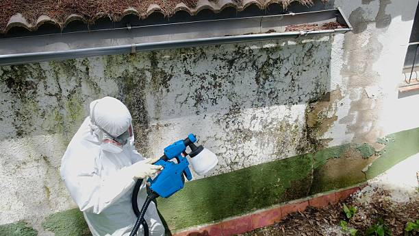 Top rated local Mold Removal specialists in Durham, NC